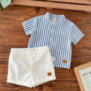 Sleeve Shirt And Elastic Waist Shorts Set